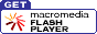 Get the Flash Player Plug-In